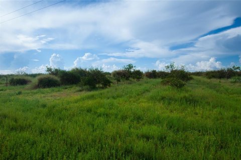 Land in Punta Gorda, Florida № 1900515 - photo 5
