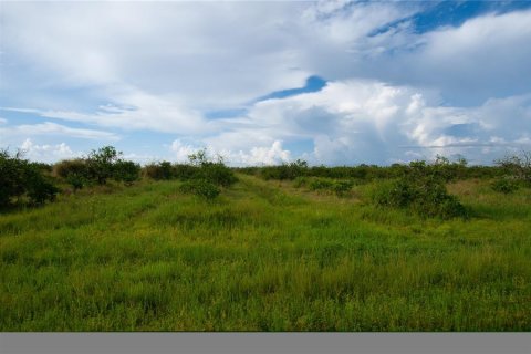 Land in Punta Gorda, Florida № 1900515 - photo 4