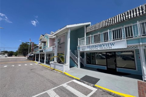 Immobilier commercial à louer à Palm Harbor, Floride: 4705.22 m2 № 1744241 - photo 13