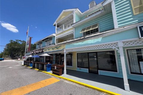 Immobilier commercial à louer à Palm Harbor, Floride: 4705.22 m2 № 1744241 - photo 19