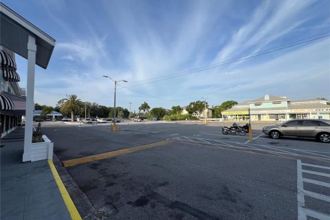 Immobilier commercial à louer à Palm Harbor, Floride: 4705.22 m2 № 1744241 - photo 6