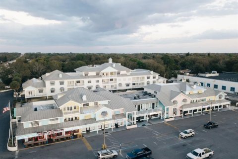 Immobilier commercial à louer à Palm Harbor, Floride: 4705.22 m2 № 1744241 - photo 1