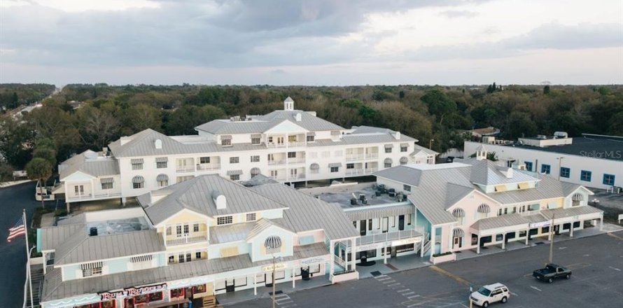 Immobilier commercial à Palm Harbor, Floride 4705.22 m2 № 1744241