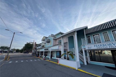 Immobilier commercial à louer à Palm Harbor, Floride: 4705.22 m2 № 1744241 - photo 5