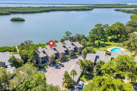 Condo in Clearwater, Florida, 3 bedrooms  № 1612868 - photo 3