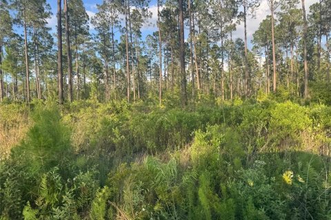 Land in Lake Butler, Florida № 2210599