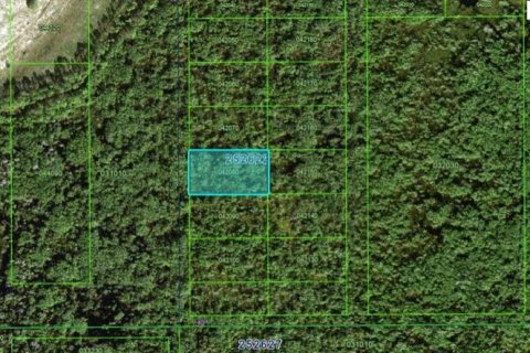 Terrain à Polk City, Floride № 2163947