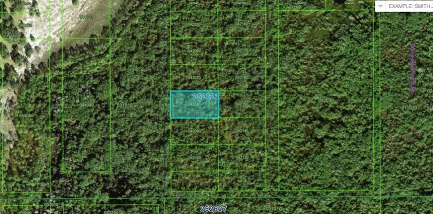 Terrain à Polk City, Floride № 2163947