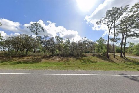 Terrain à vendre à Polk City, Floride № 2163947 - photo 2