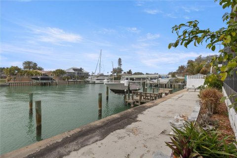 House in Tierra Verde, Florida 4 bedrooms, 192.87 sq.m. № 2098736 - photo 30