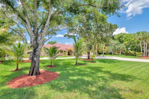 Villa ou maison à vendre à Weston, Floride: 7 chambres, 389.35 m2 № 2277875 - photo 3