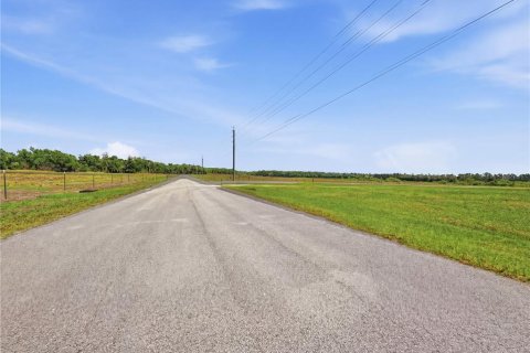 Terreno en venta en Fort Meade, Florida № 2238883 - foto 4