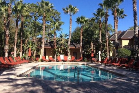 Copropriété à louer à Palm Harbor, Floride: 1 chambre, 65.03 m2 № 2228136 - photo 5