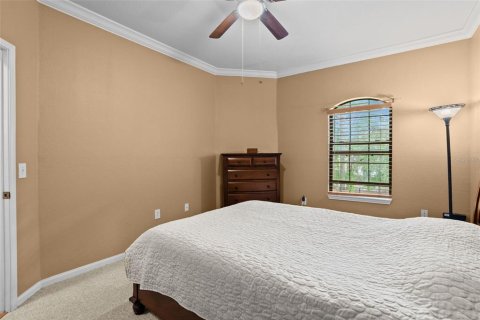 Copropriété à louer à Palm Harbor, Floride: 1 chambre, 65.03 m2 № 2228136 - photo 21