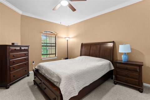 Copropriété à louer à Palm Harbor, Floride: 1 chambre, 65.03 m2 № 2228136 - photo 20