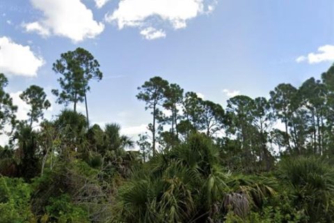 Land in Punta Gorda, Florida № 2161207