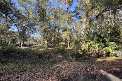 Terrain à vendre à Ocklawaha, Floride № 2220524 - photo 4