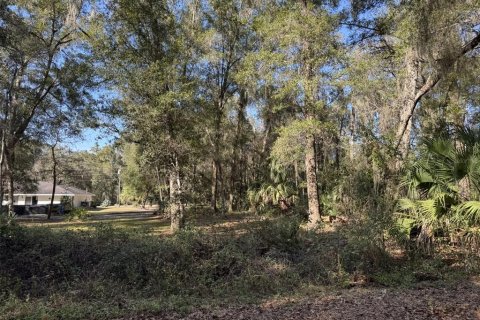 Terrain à Ocklawaha, Floride № 2220524