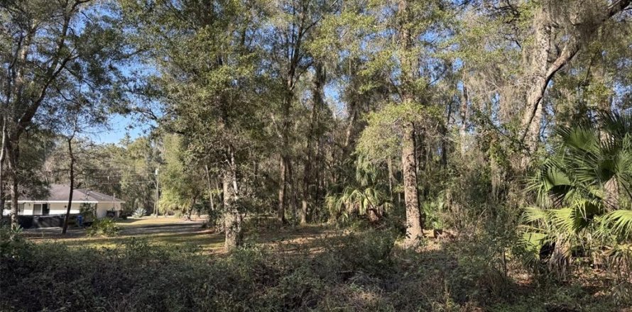 Terrain à Ocklawaha, Floride № 2220524