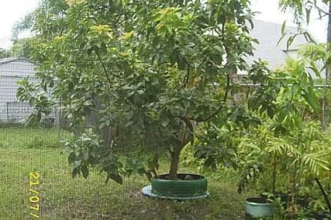 Купить виллу или дом в Майами, Флорида 3 спальни, 142.7м2, № 2038445 - фото 4