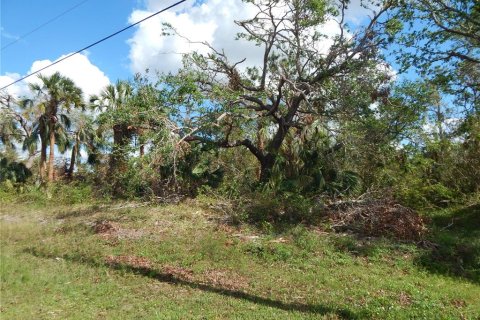 Land in Port Charlotte, Florida № 242213 - photo 5