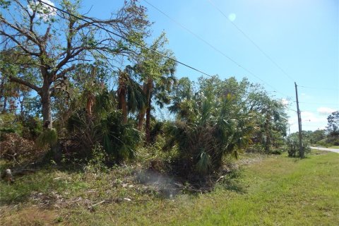 Land in Port Charlotte, Florida № 242213 - photo 2