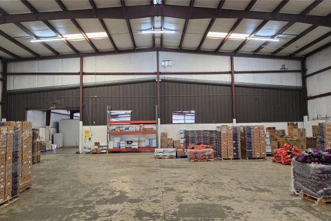 Commercial property in Winter Haven, Florida 1762.36 sq.m. № 2110466 - photo 5
