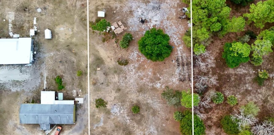 Земельный участок в Клуистон, Флорида № 2031093