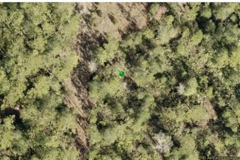 Terreno en venta en New Smyrna Beach, Florida № 1081817 - foto 1