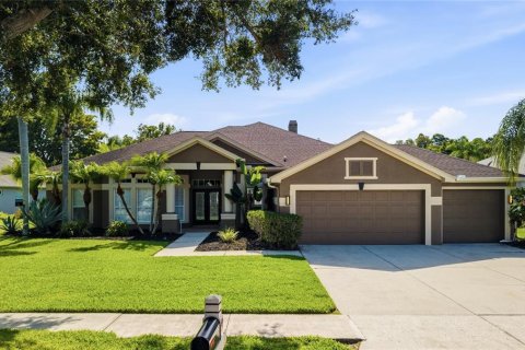 Villa ou maison à Lutz, Floride 4 chambres, 273.97 m2 № 2235801