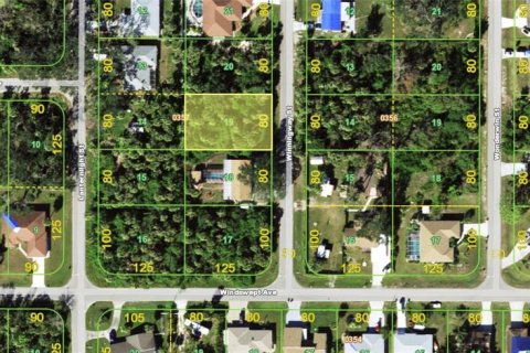 Land in Port Charlotte, Florida № 2161343