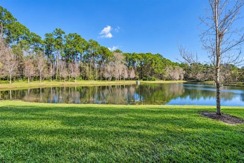 Townhouse in LAKESHORE in Lutz, Florida 2 bedrooms, 182.18 sq.m. № 2412679 - photo 14