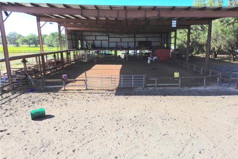 Commercial property in Avon Park, Florida 311.41 sq.m. № 2101028 - photo 5