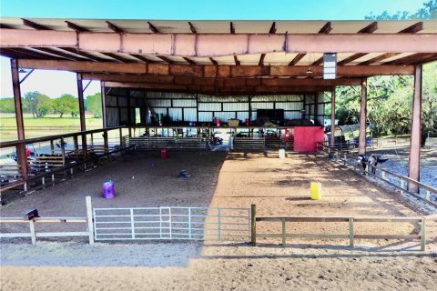 Commercial property in Avon Park, Florida 311.41 sq.m. № 2101028 - photo 4