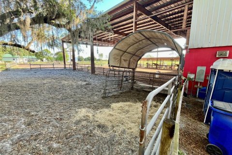 Commercial property in Avon Park, Florida 311.41 sq.m. № 2101028 - photo 18