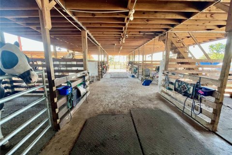 Commercial property in Avon Park, Florida 311.41 sq.m. № 2101028 - photo 14