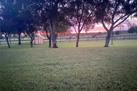 Commercial property in Avon Park, Florida 311.41 sq.m. № 2101028 - photo 19