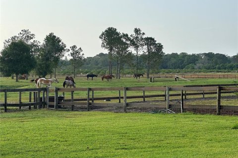 Commercial property in Avon Park, Florida 311.41 sq.m. № 2101028 - photo 24