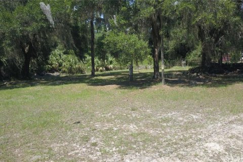 Land in Inglis, Florida № 2164737 - photo 6