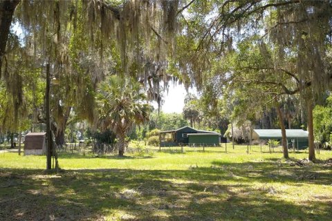 Land in Inglis, Florida № 2164737 - photo 8