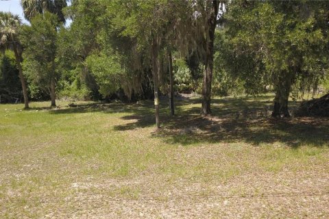 Land in Inglis, Florida № 2164737 - photo 3