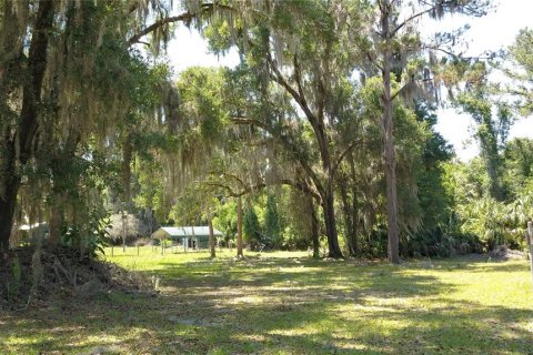Land in Inglis, Florida № 2164737 - photo 7