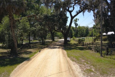 Land in Inglis, Florida № 2164737 - photo 11