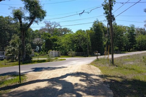 Land in Inglis, Florida № 2164737 - photo 12