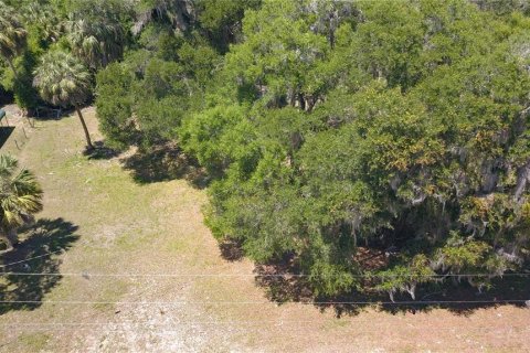 Land in Inglis, Florida № 2164737 - photo 4