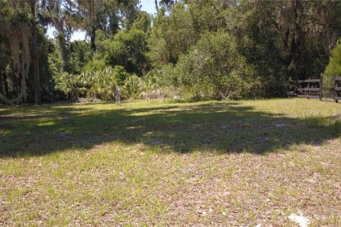 Land in Inglis, Florida № 2164737