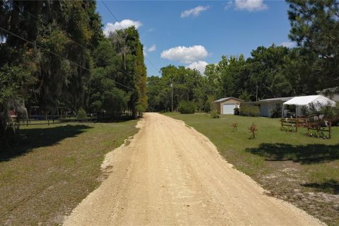 Land in Inglis, Florida № 2164737 - photo 10