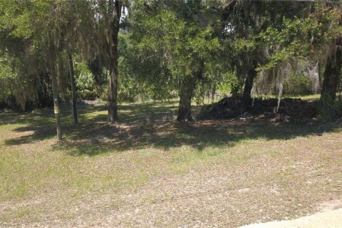 Land in Inglis, Florida № 2164737 - photo 2