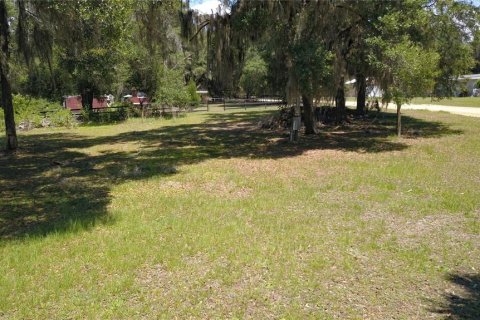 Land in Inglis, Florida № 2164737 - photo 5