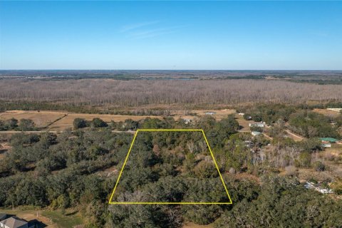 Land in Davenport, Florida № 1808287 - photo 4